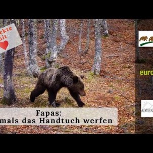 Werden die Bären in Nord-Spanien aussterben? - Niemals das Handtuch werfen (Deutsche Untertitel)