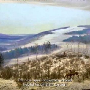 Die Geschichte der Wälder von Neu England (Englisch)