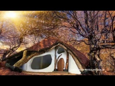 Hobbithaus aus nur einem Baum in Österreich - das EinBaumHaus