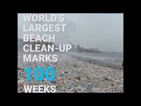 Largest Beach Clean-Up Marks 100 Weeks